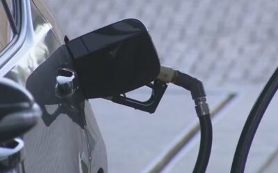 Quase metade dos combustíveis analisados no Paraná apresenta adulteração, aponta levantamento