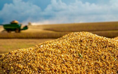 O biodiesel fez a indústria da soja crescer 6% — e pode girar R$ 53 bi até 2035