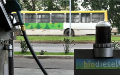 CNA pede avanço da mistura de biodiesel para 17% em meio a alta do petróleo