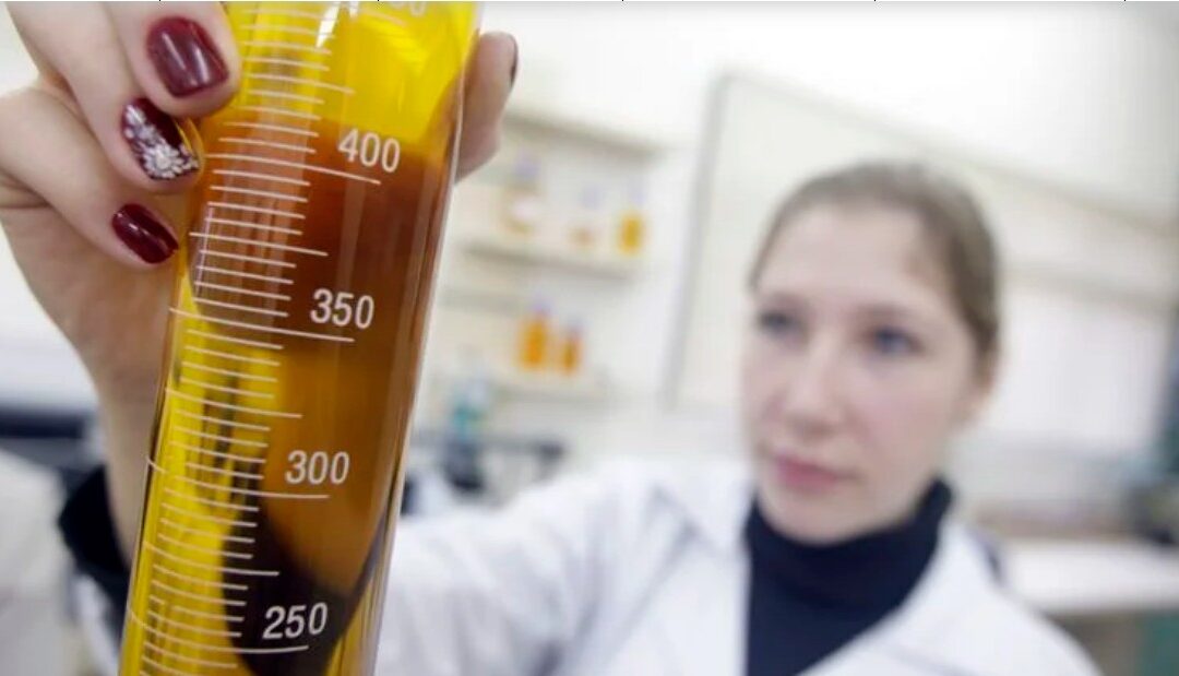 Biocombustíveis voltam à cena com aumento no preço do petróleo por conta da guerra