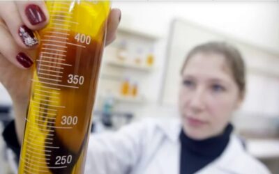 Biocombustíveis voltam à cena com aumento no preço do petróleo por conta da guerra