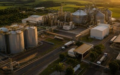 Cidade de 50 mil habitantes no Paraná vai abrigar a maior fábrica de biodiesel do mundo
